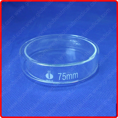75MM Glass Culture Dish, High Borosilicate Glass Petri Dish, High ...